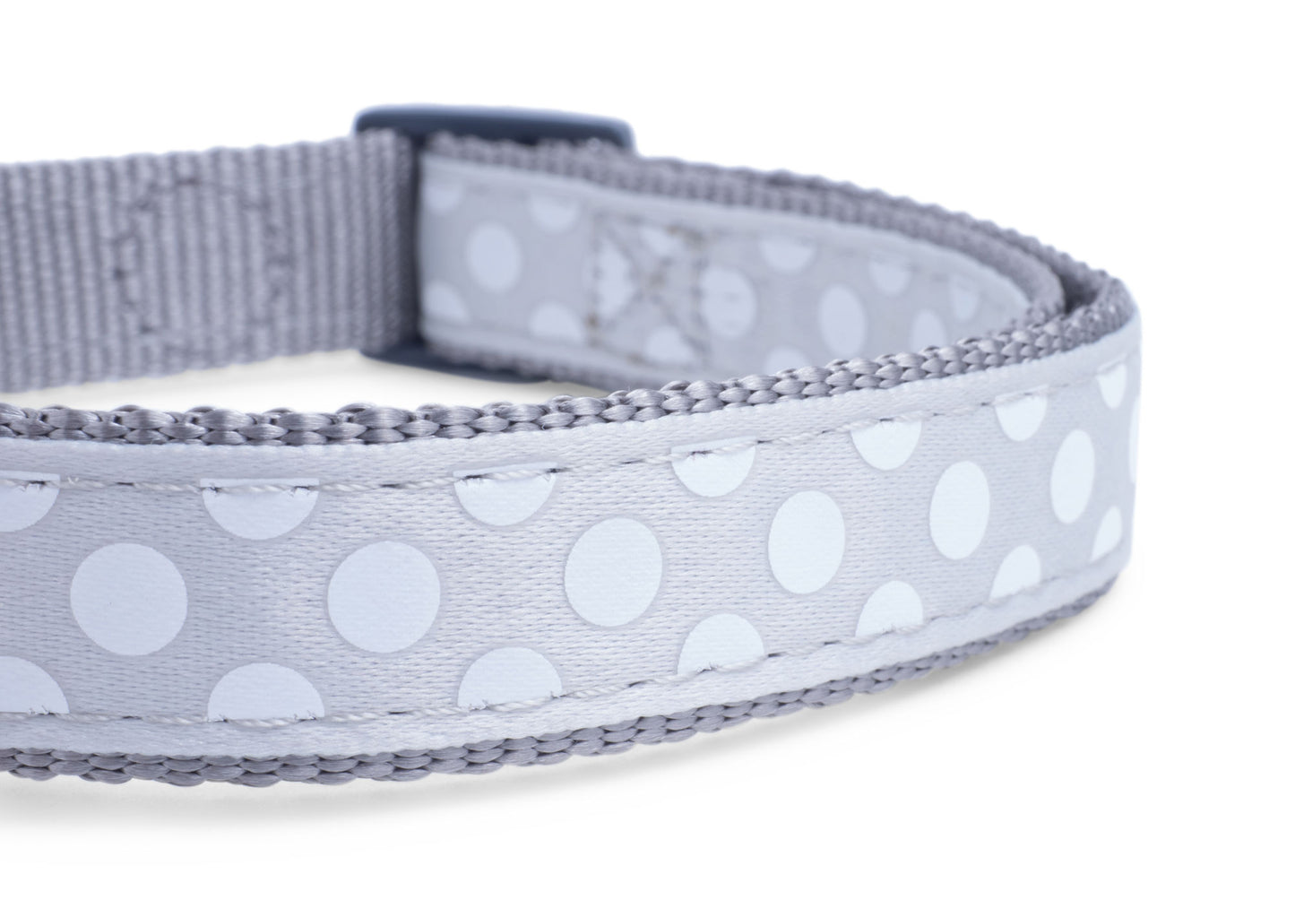 Gray dog collar with white polka dots on a white background