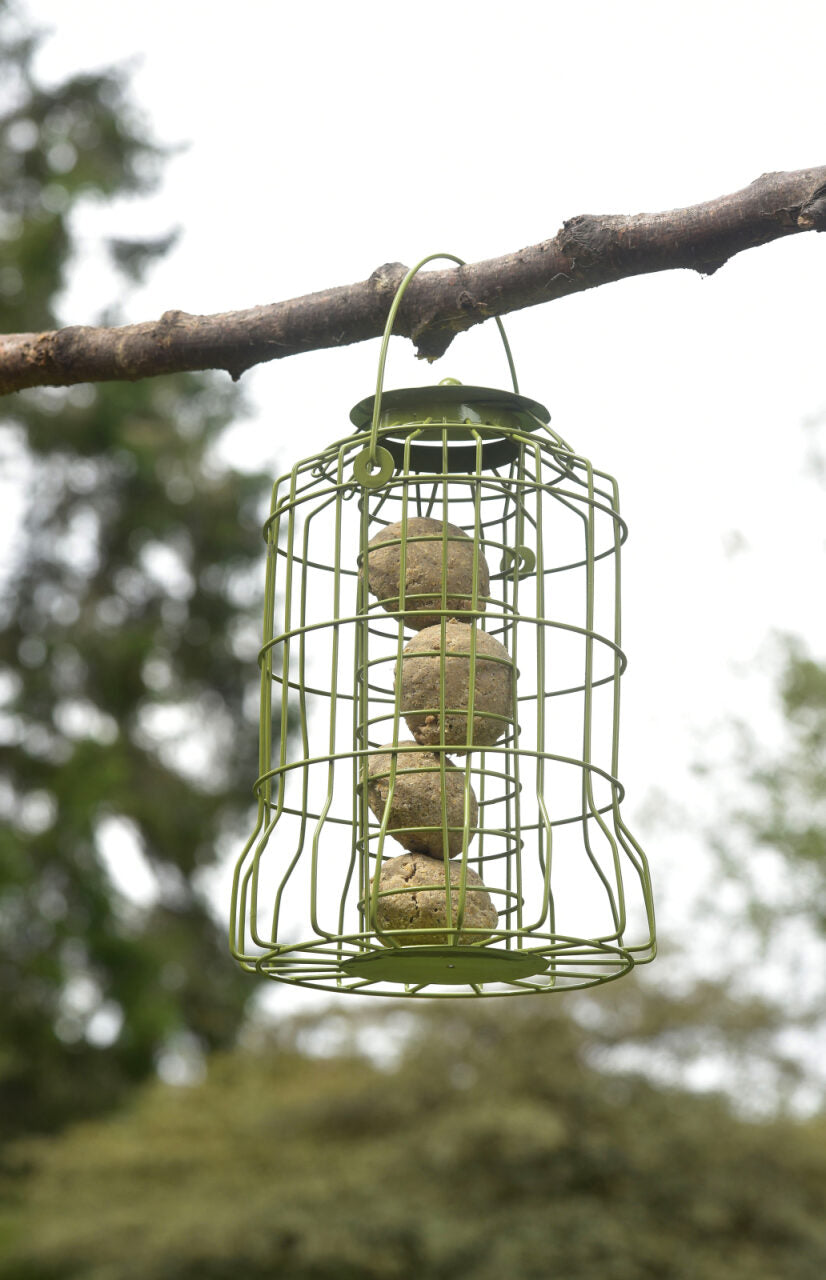 Squirrel Proof Suet Ball Feeder