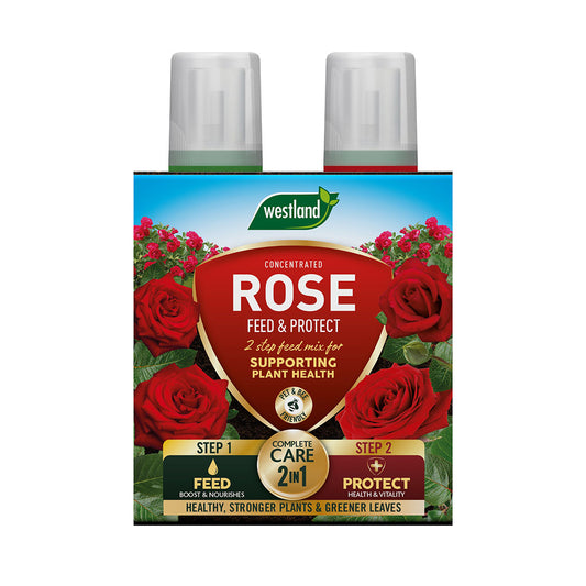 Westland Rose Feed & Protect packaging with red roses on a white background