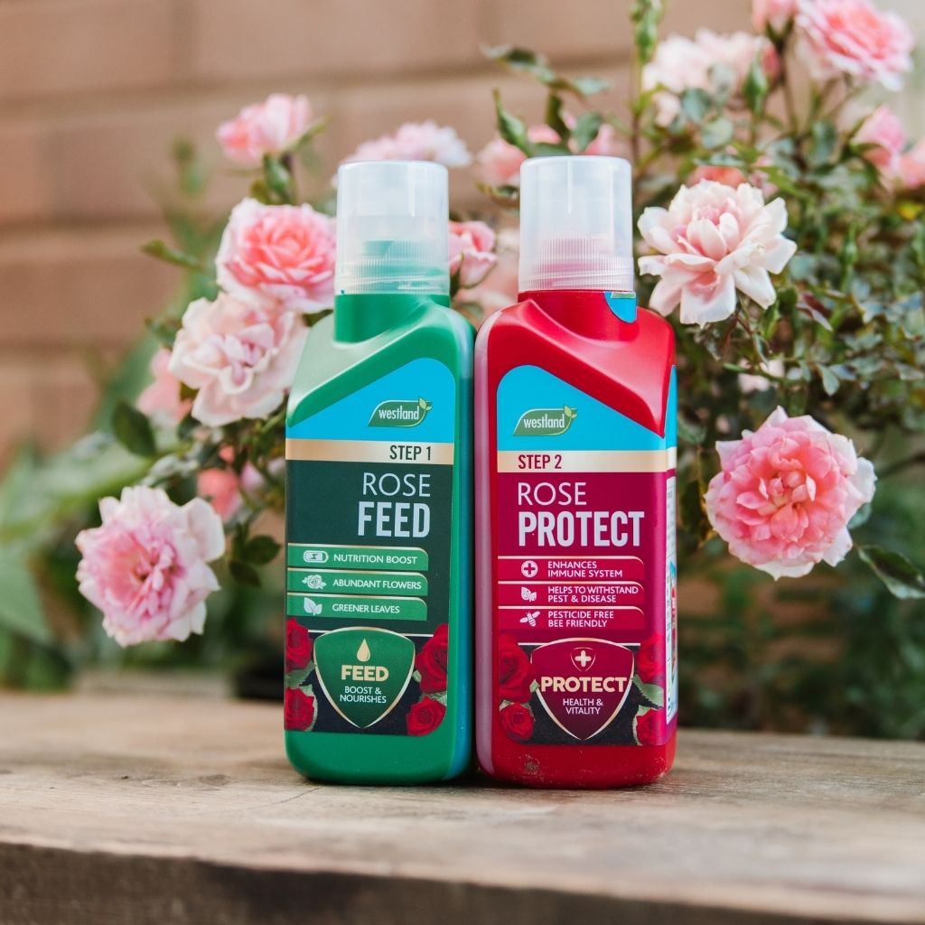 Two bottles of rose care products with flowers in the background