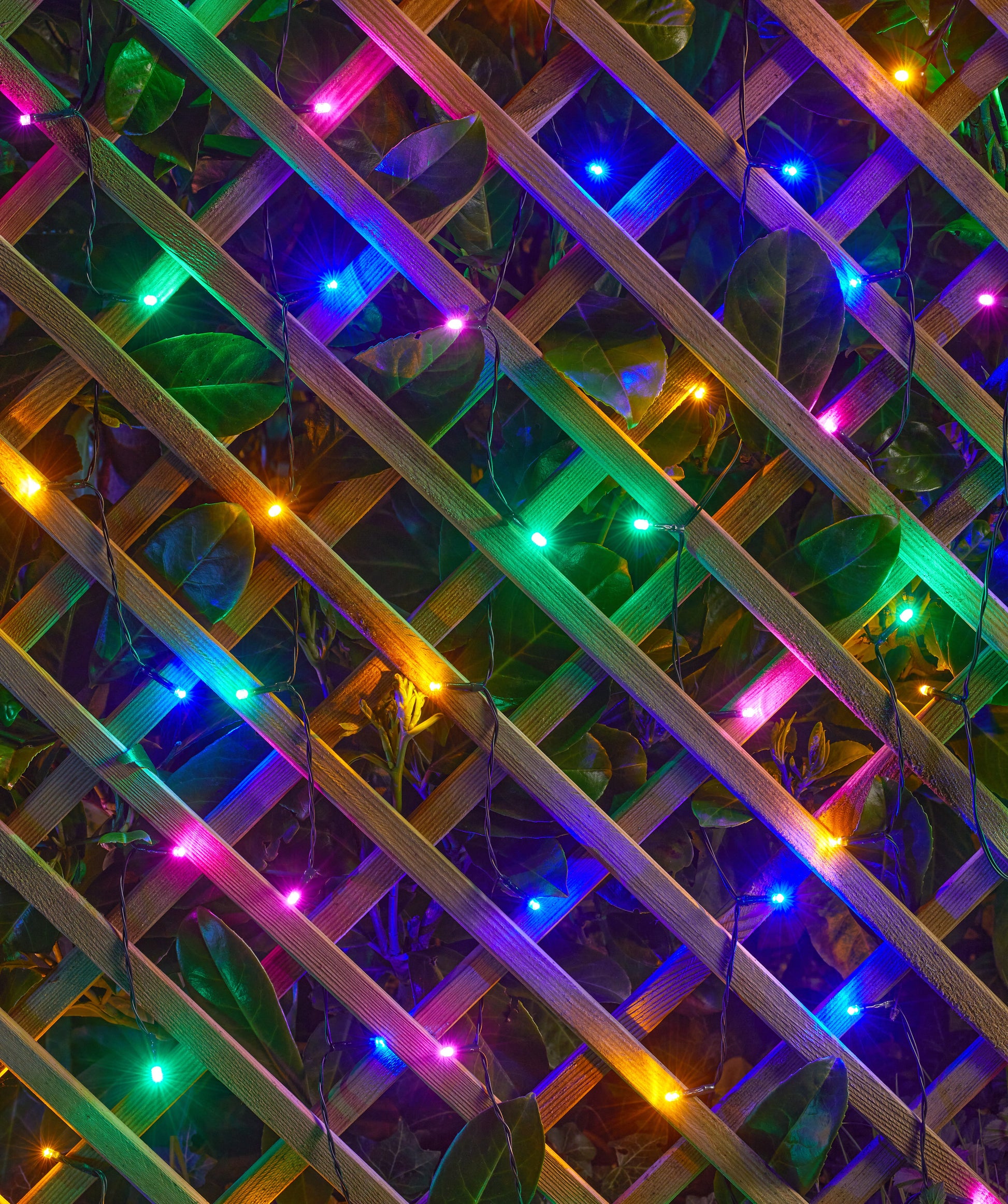 Colorful string lights on a trellis with leaves