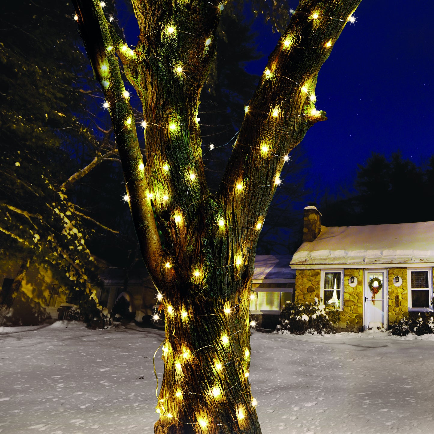 Tree decorated with string lights in front of a house at night