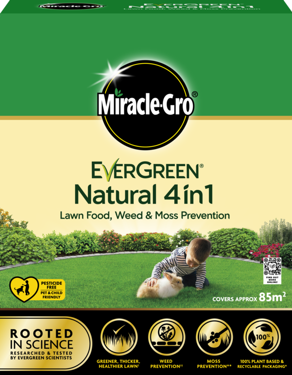 Miracle-Gro EverGreen Natural 4in1 lawn food and weed prevention packaging.
