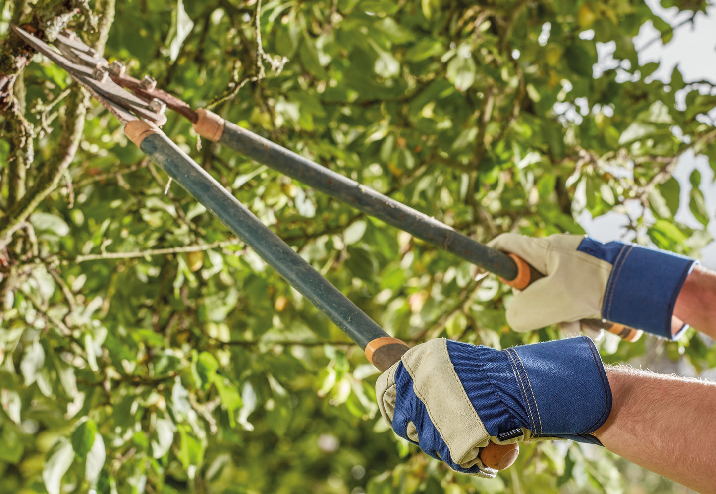 Gloves hands cutting a tree branch