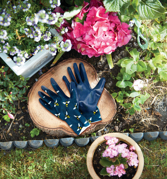 Pair of gloves on a tree trunk