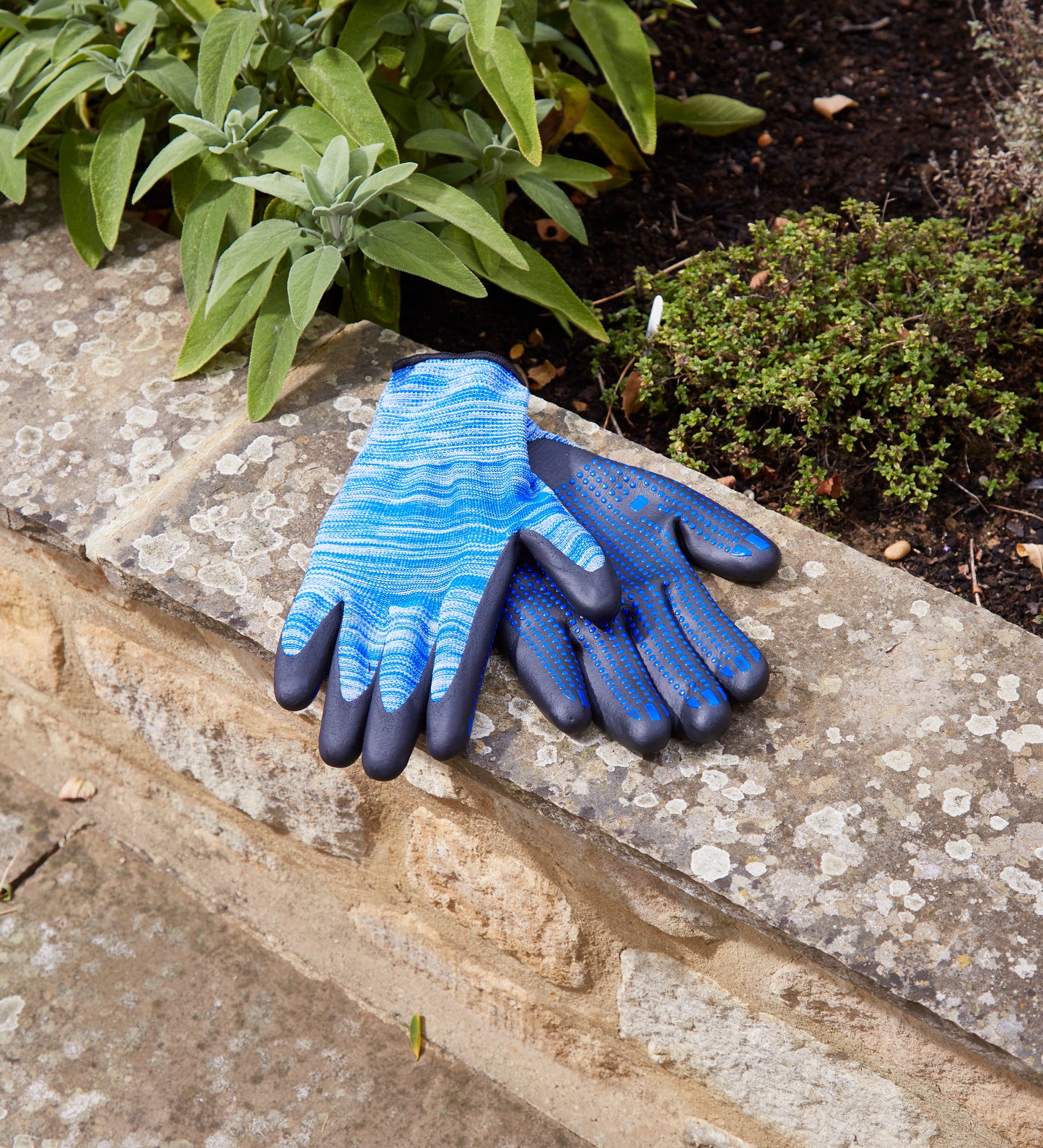 Pair of blue gardening gloves on a stone surface with plants in the background