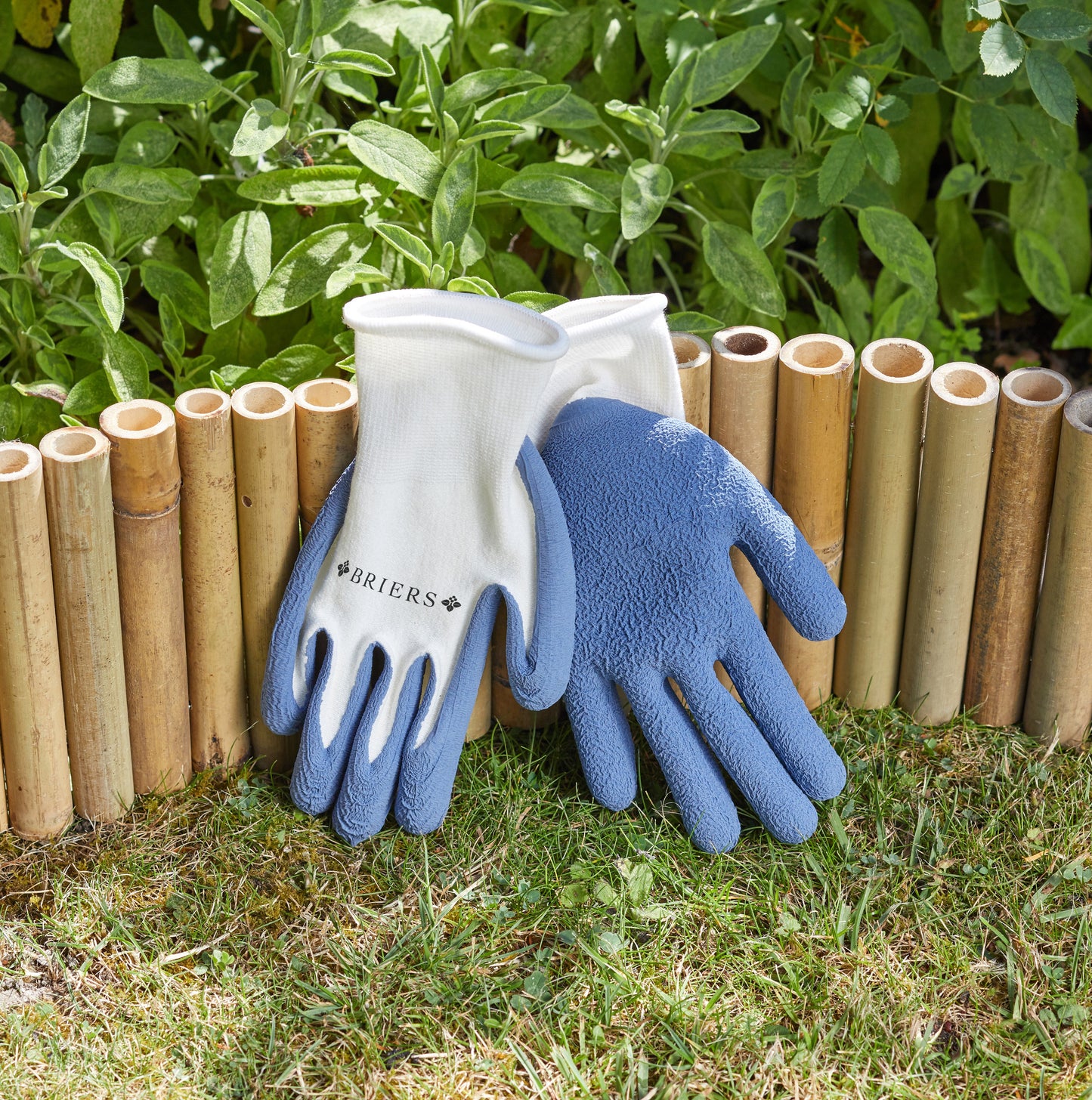 Pair of blue gardening gloves on grass with a bamboo fence and green plants in the background