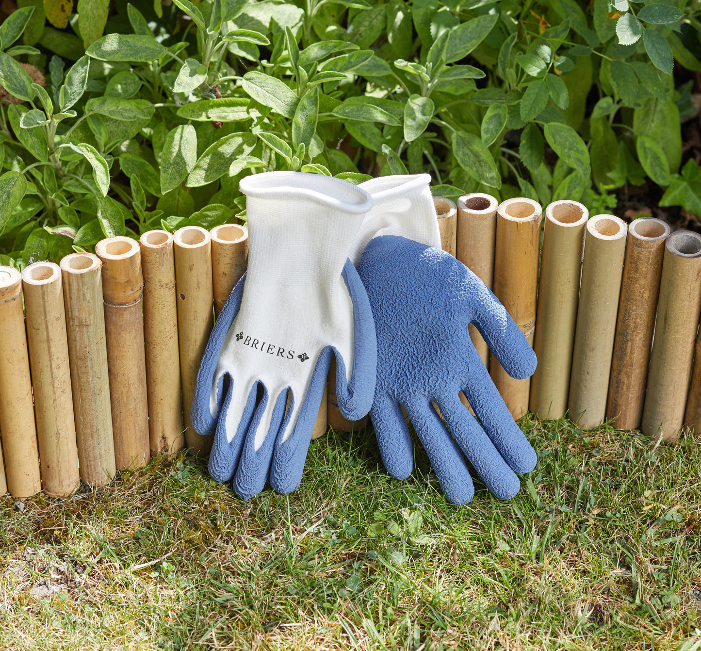 Blue and white gloves on a wooden background with grass