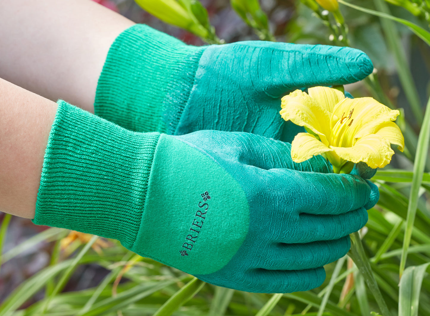 Green gardening gloves holding a yellow flower with a blurred natural background