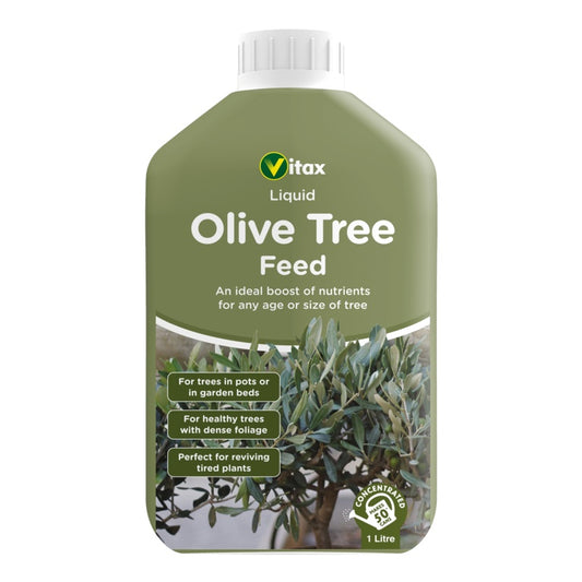 Vitax Liquid Olive Tree Feed container on a white background