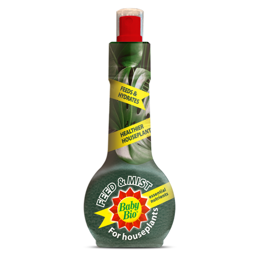 Baby Bio plant food bottle on a white background