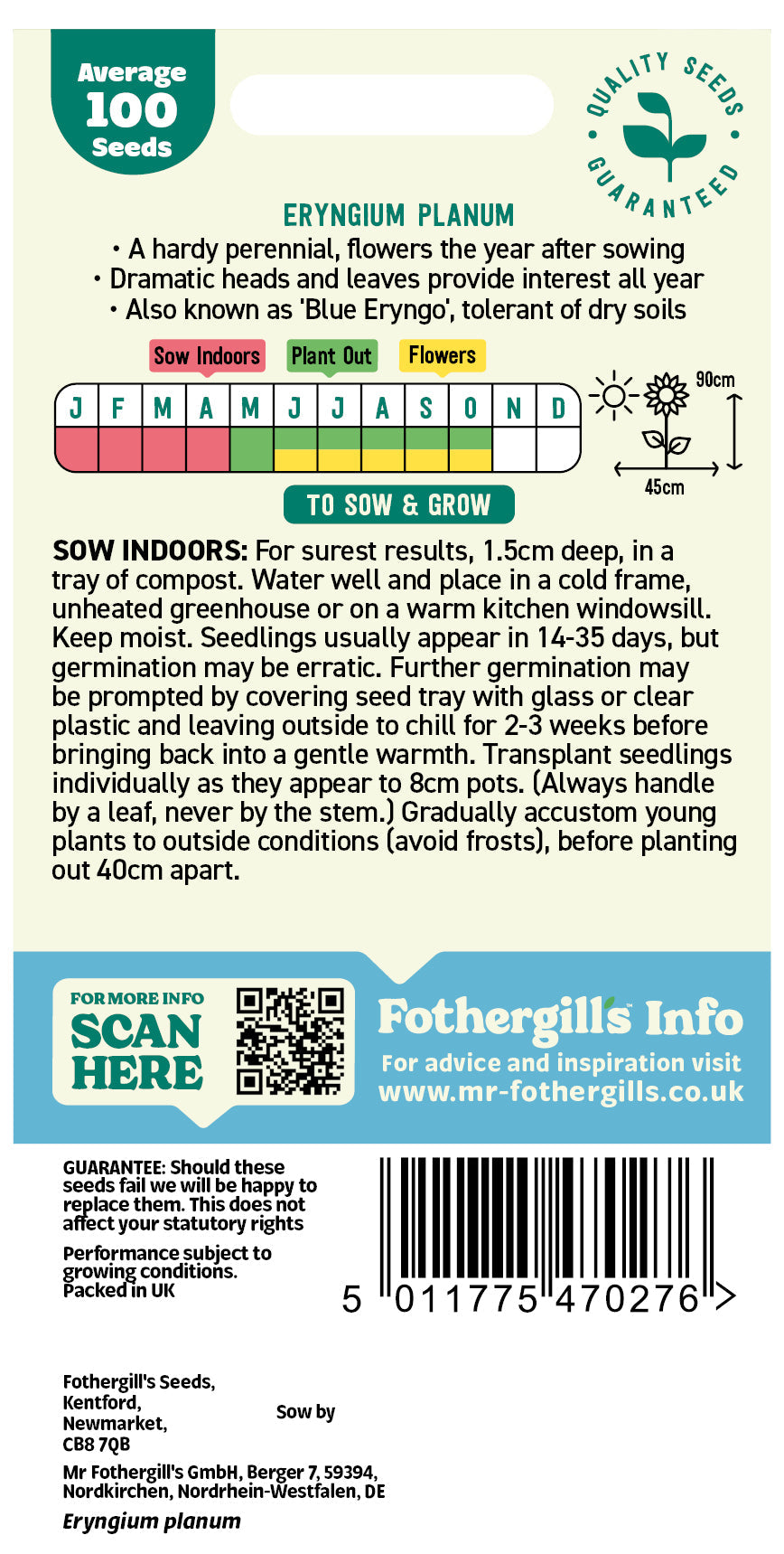 Mr Fothergill's Eryngium Planum Seeds Packet