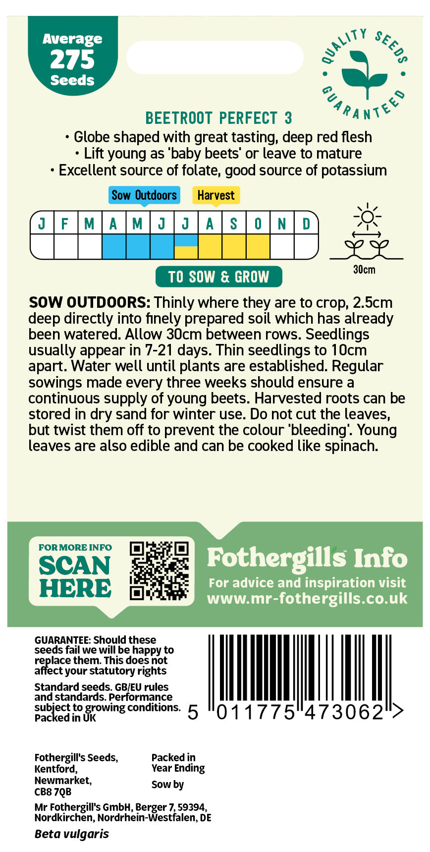 Mr Fothergill's Beetroot Perfect 3 Seeds Packet