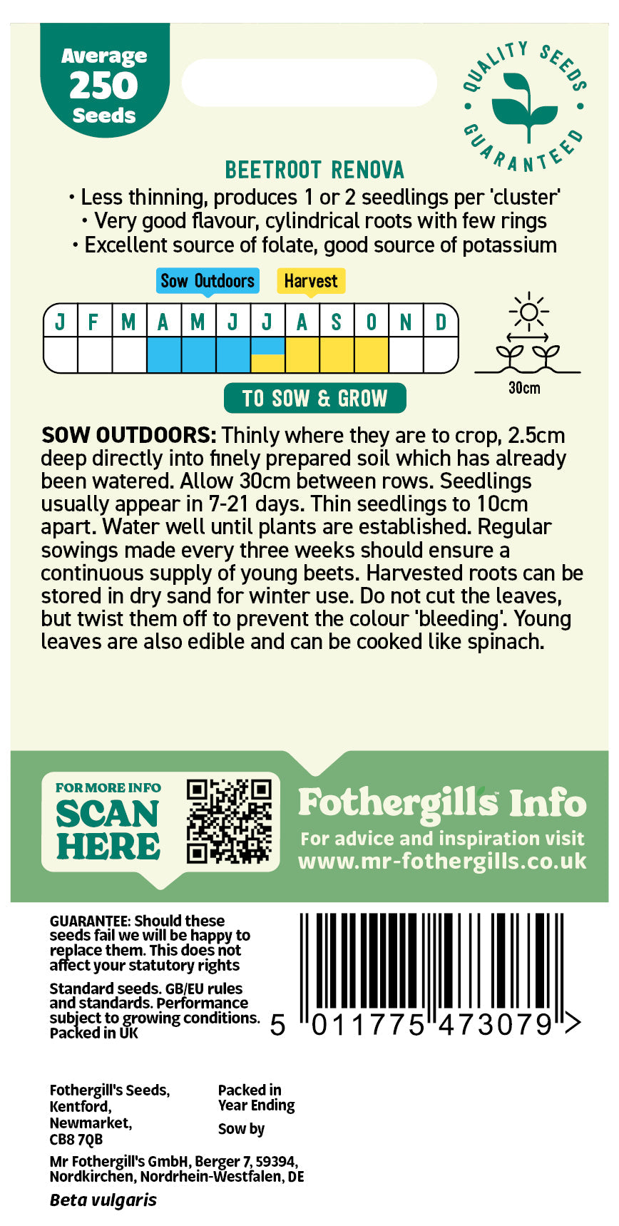 Mr Fothergill's Beetroot Renova Seeds Packet