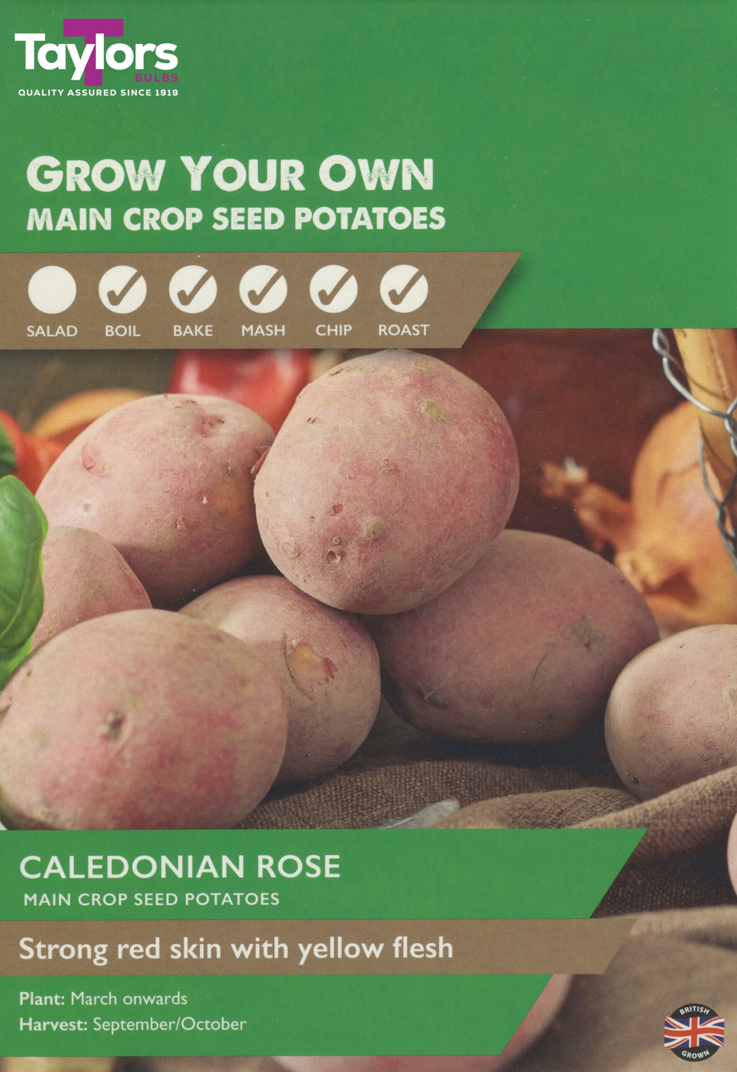 Taylors Bulbs Caledonian Rose Main Crop Seed Potatoes 10 Pack