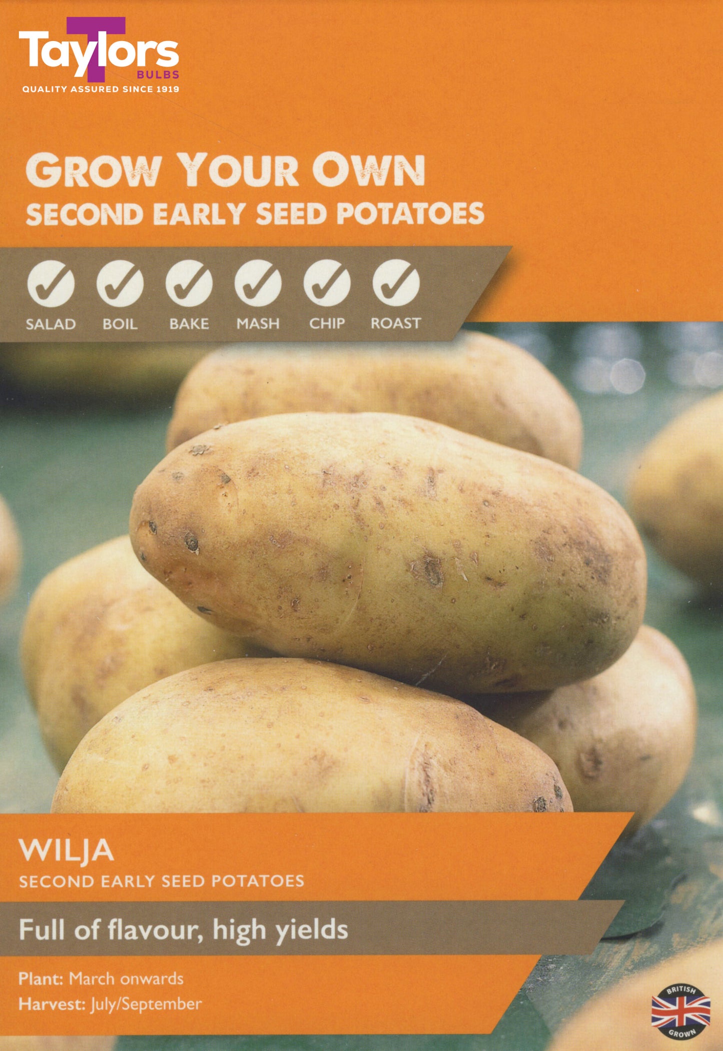 Taylors Bulbs Wilja Second Early Seed Potatoes 10 Pack
