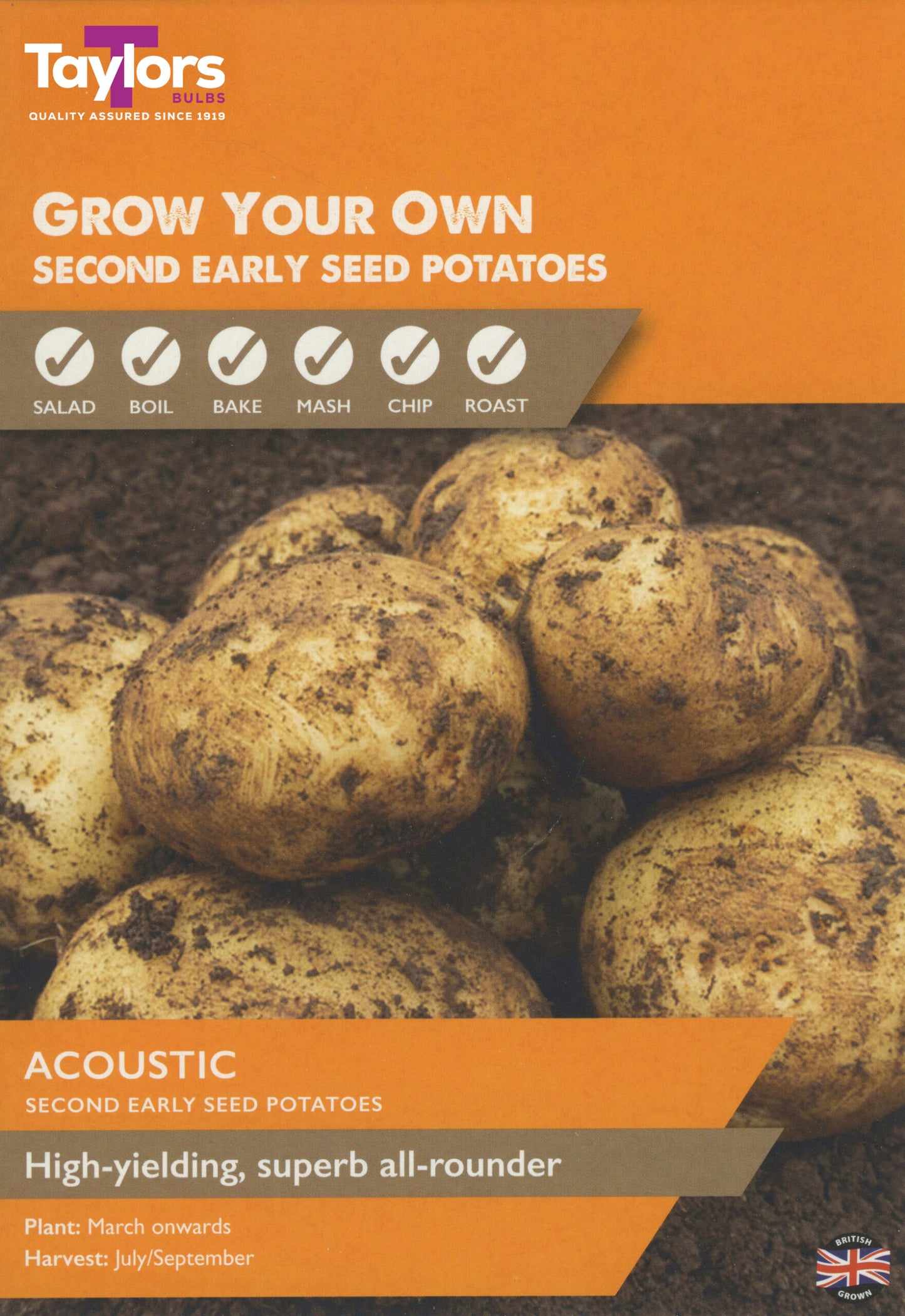 Taylors Bulbs Acoustic Second Early Seed Potatoes 10 Pack