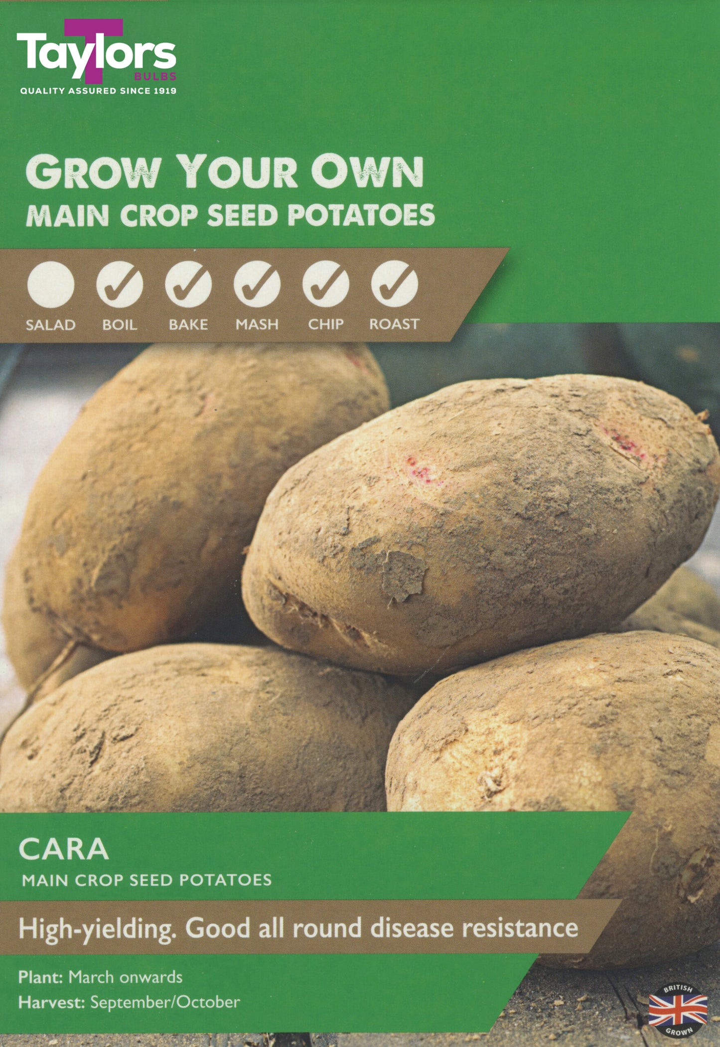 Taylors Bulbs Cara Main Crop Seed Potatoes 10 Pack