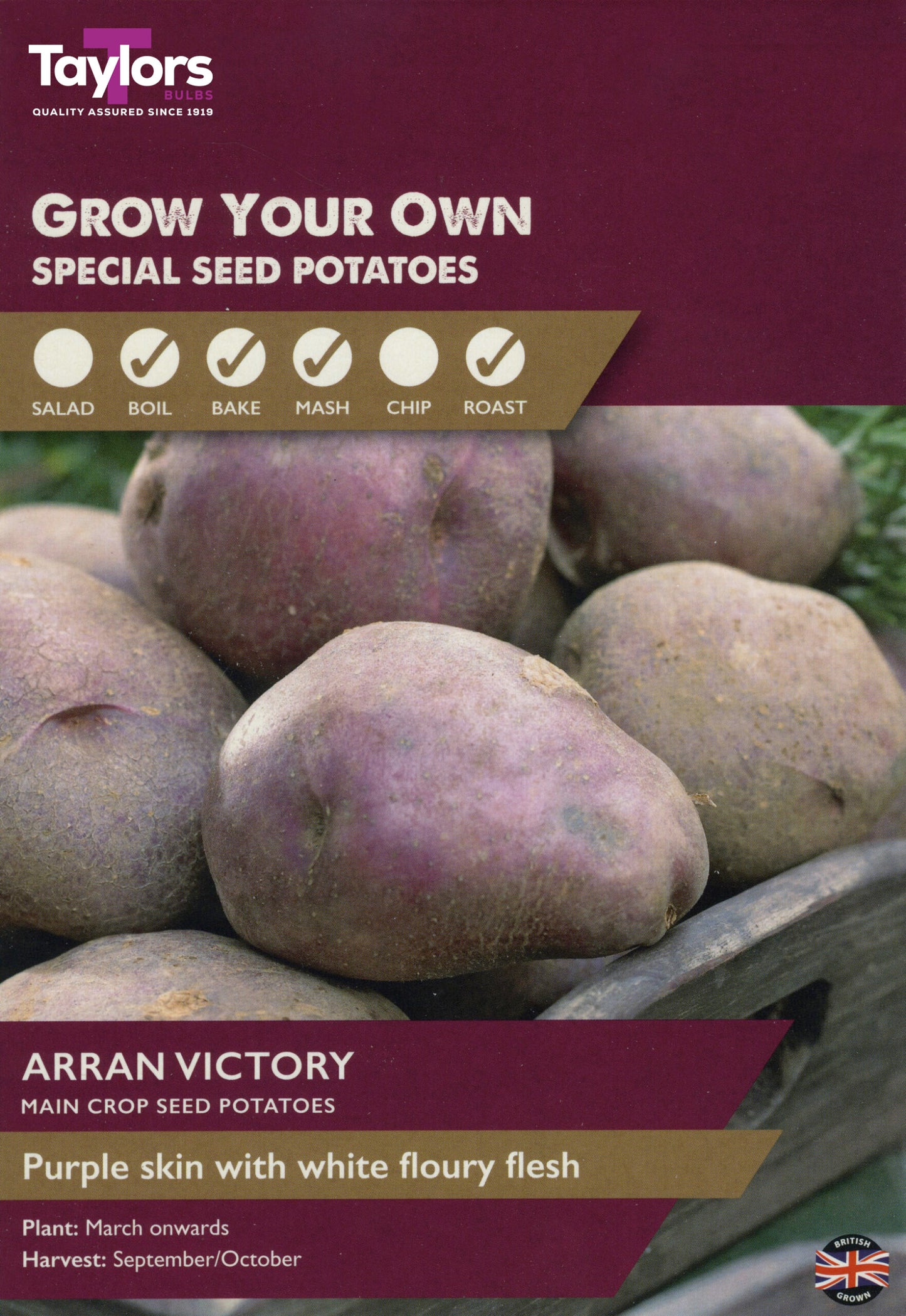 Taylors Bulbs Arran Victory Main Crop Seed Potatoes 8 Pack