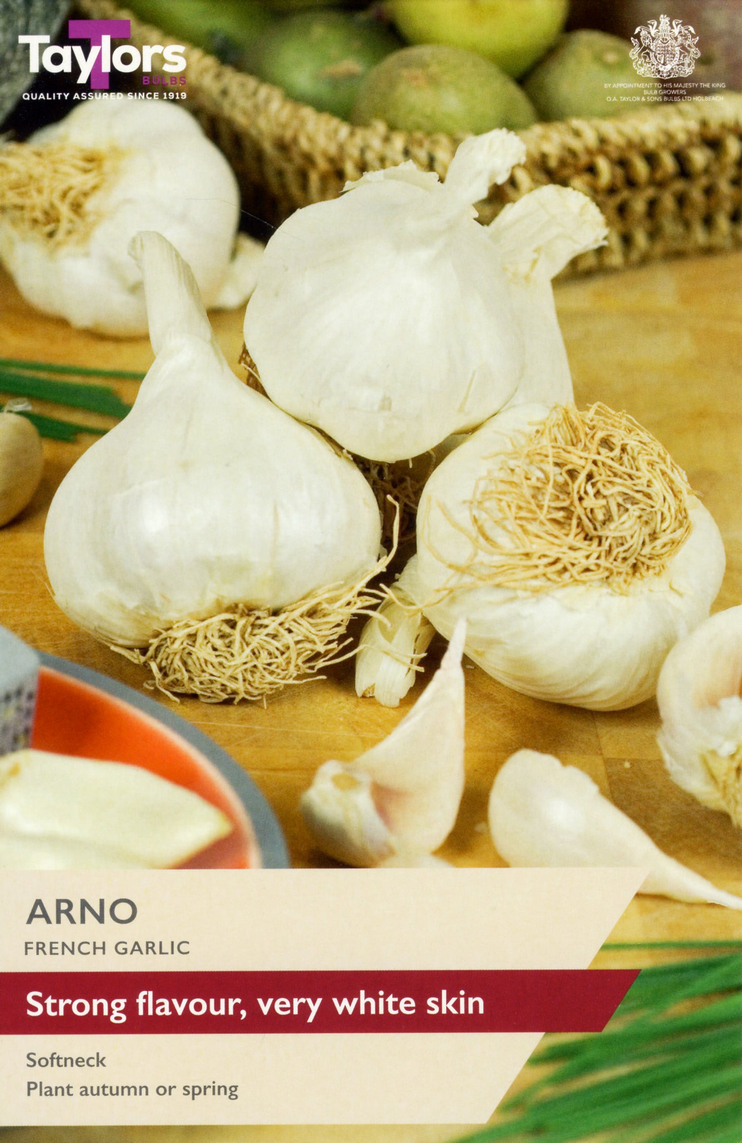 Taylors Bulbs French Garlic Arno Bulbs