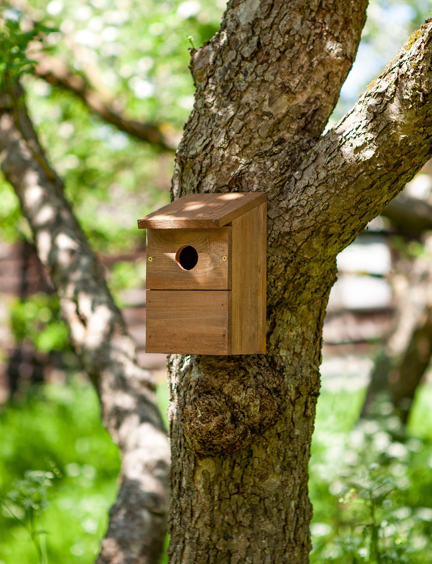 Wooden birdhouse attached to a tree trunk with greenery in the background