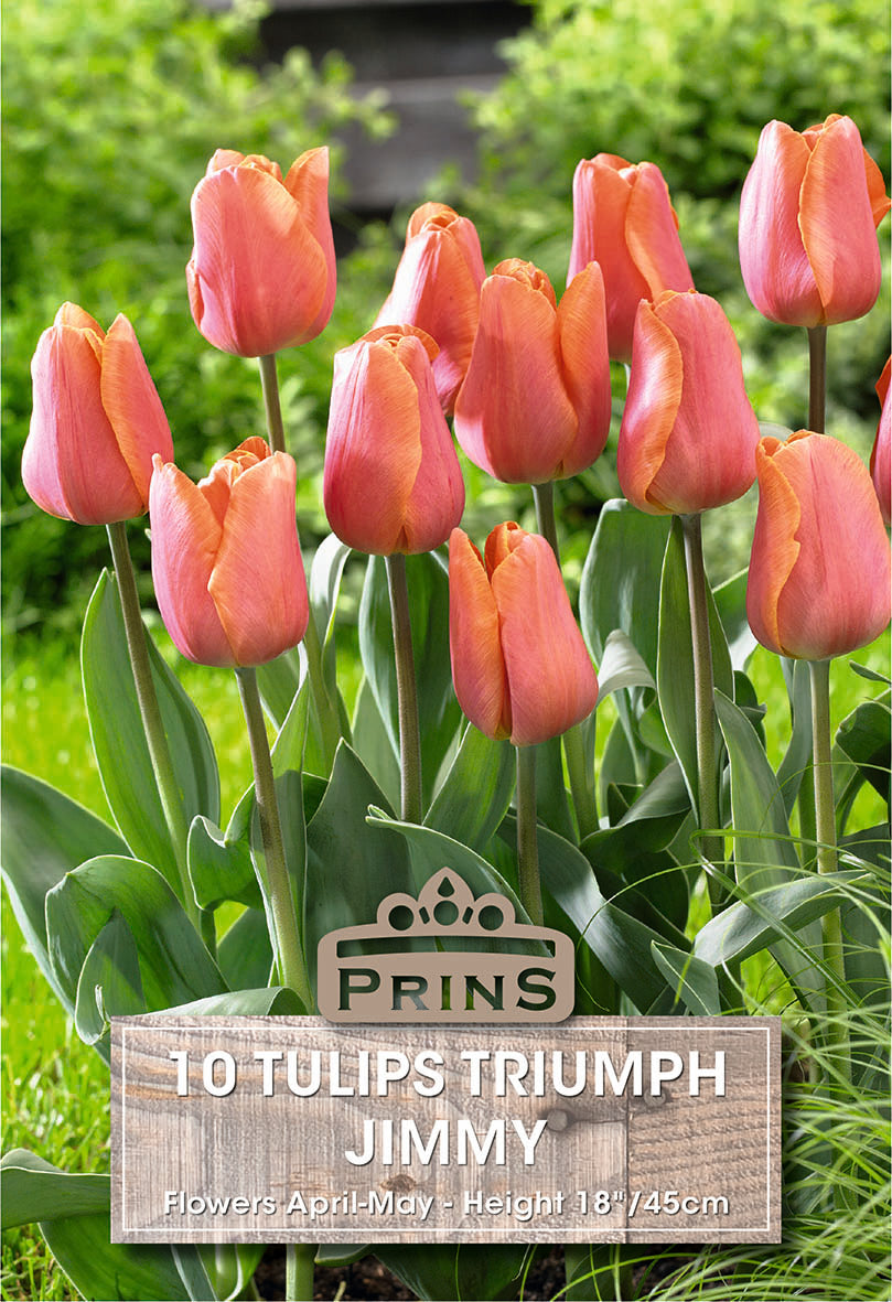 Pink tulips with a Prins label on a green background