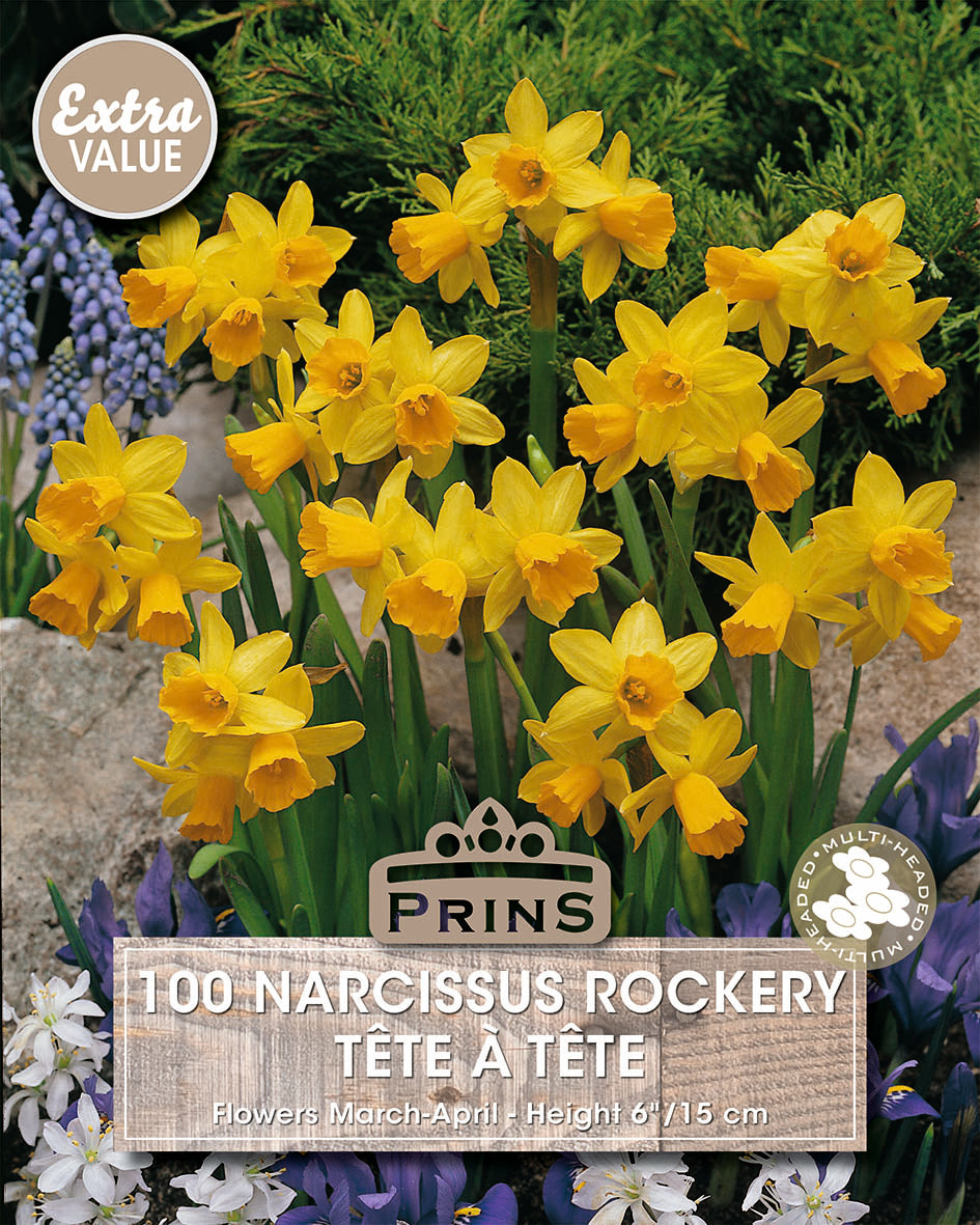 Bouquet of yellow daffodils with Prins branding and product details.