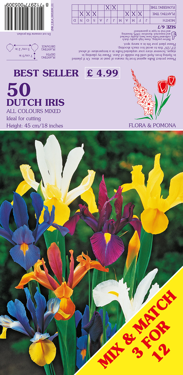 Dutch Iris All Colours Mixed 50 Pack Bulbs