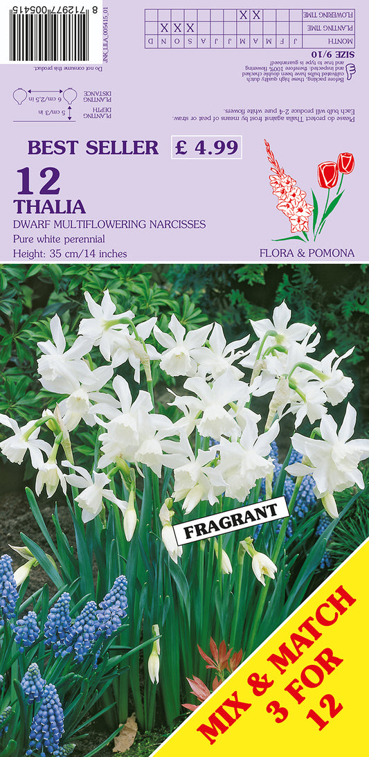 Flower package with white flowers, green leaves, and a purple label on a green background.