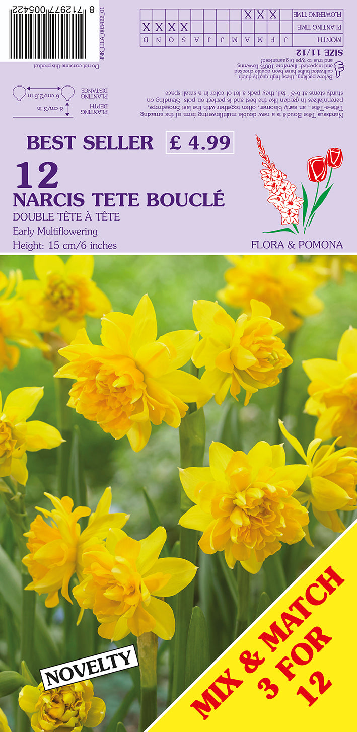 Narcissus Tete Boucle Double Tete A Tete 12 Pack Bulbs
