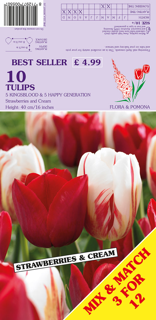 Flower package with red and white tulips labeled 'Strawberries & Cream' and branding details.