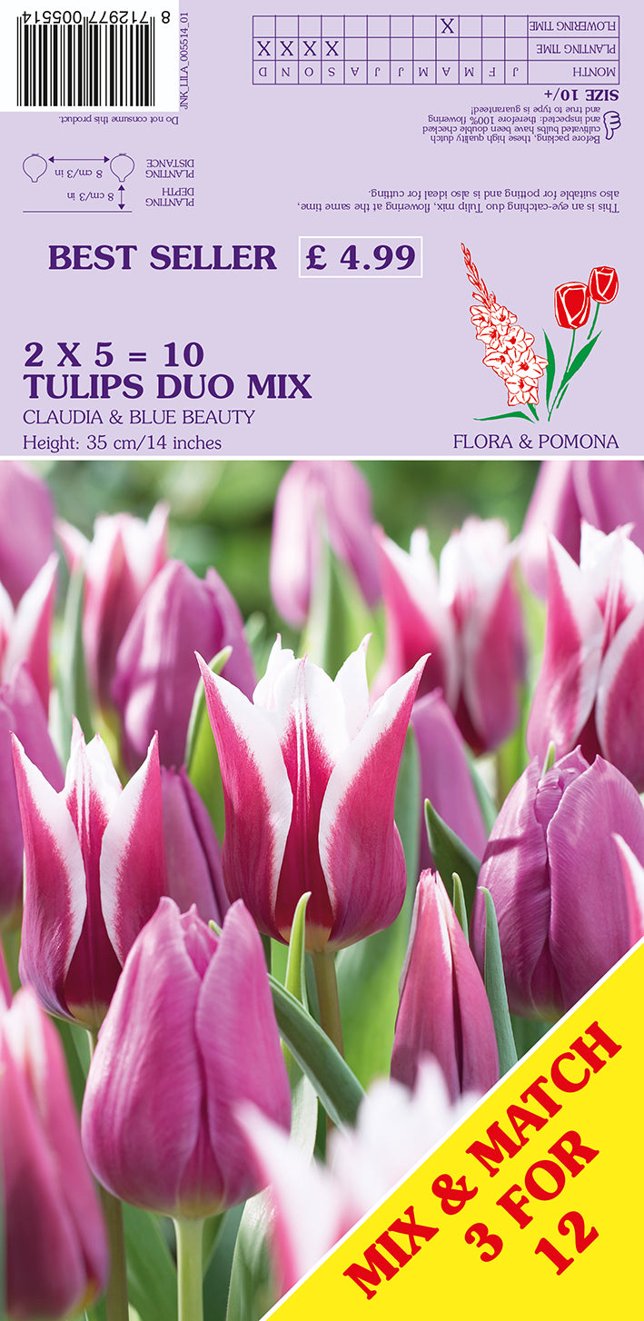 Tulips Duo Mix Claudia & Blue Beauty 10 Pack Bulbs