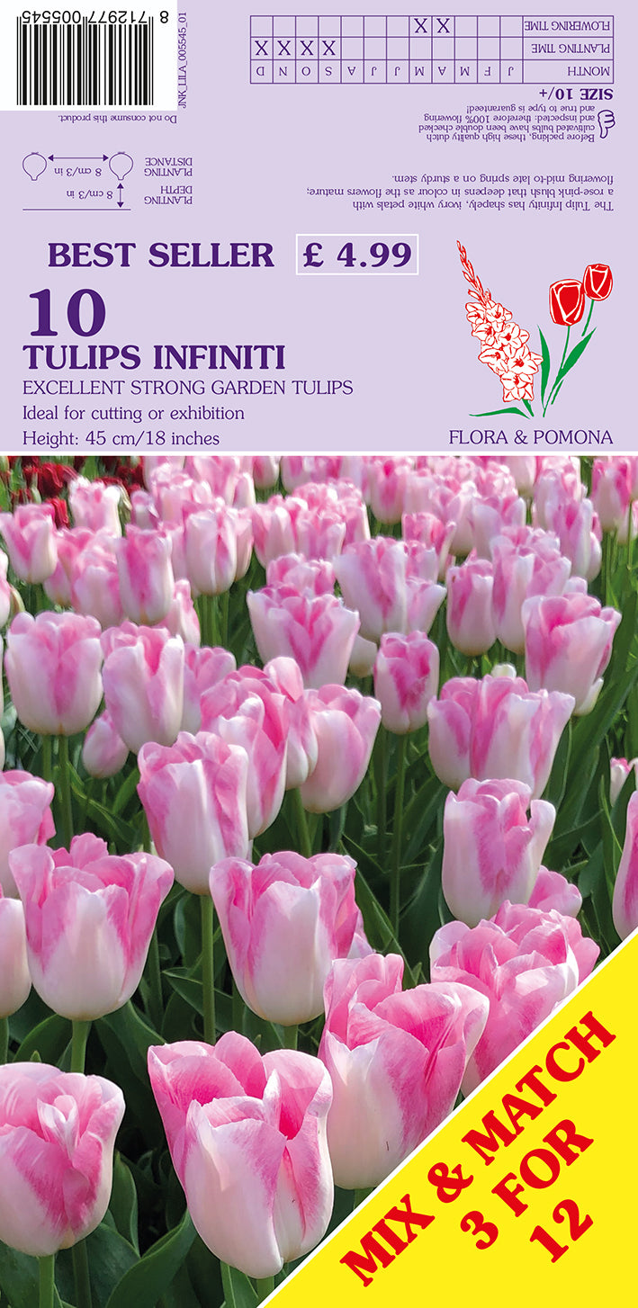 Tulips Infiniti Excellent Strong Garden Tulips 10 Pack Bulbs