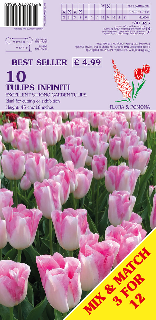 Flower seed packet for Tulips Infinité with pink and white tulips on a white background