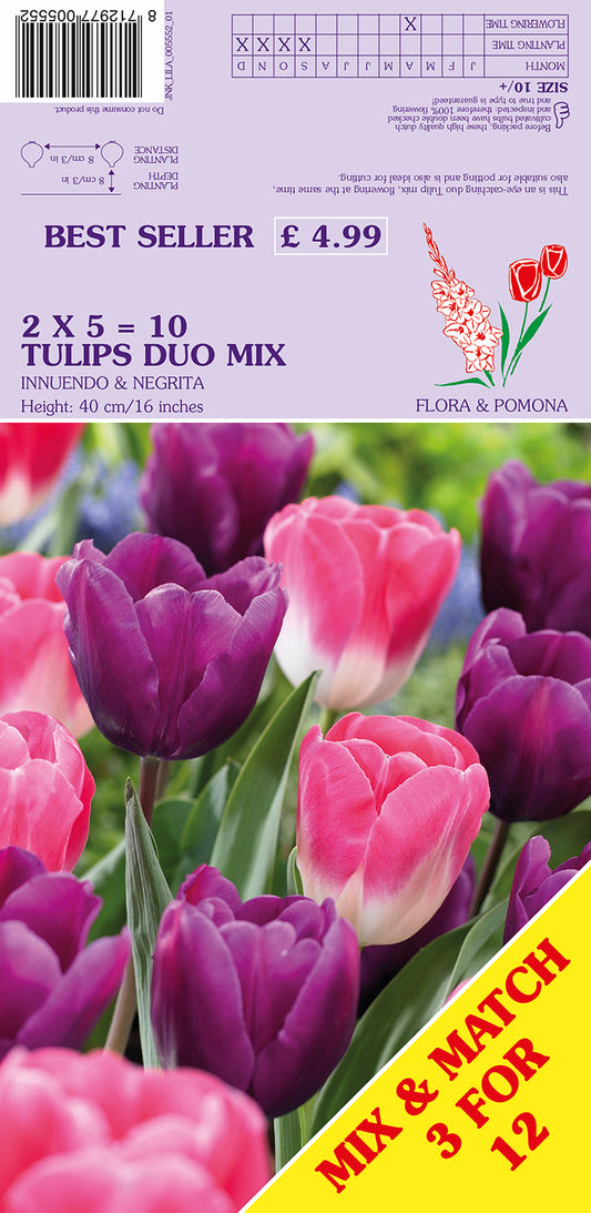 Flower seed packet with tulips and promotional text on a purple background