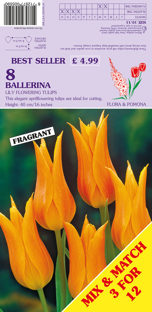 Packaging of Ballerina tulips with orange flowers and branding details.