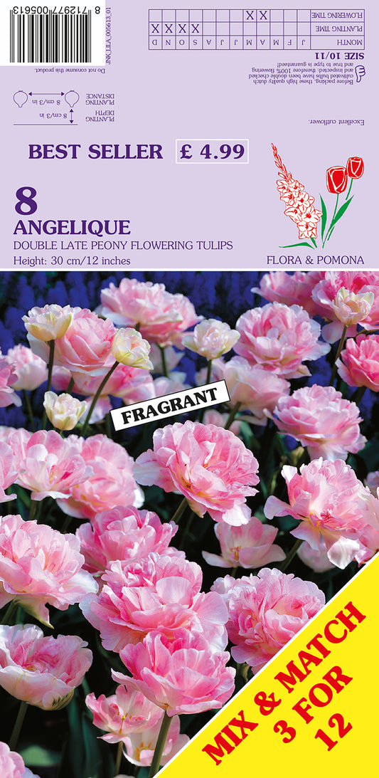 Flower package with pink tulips labeled 'Angelique' and 'Fragrant'.