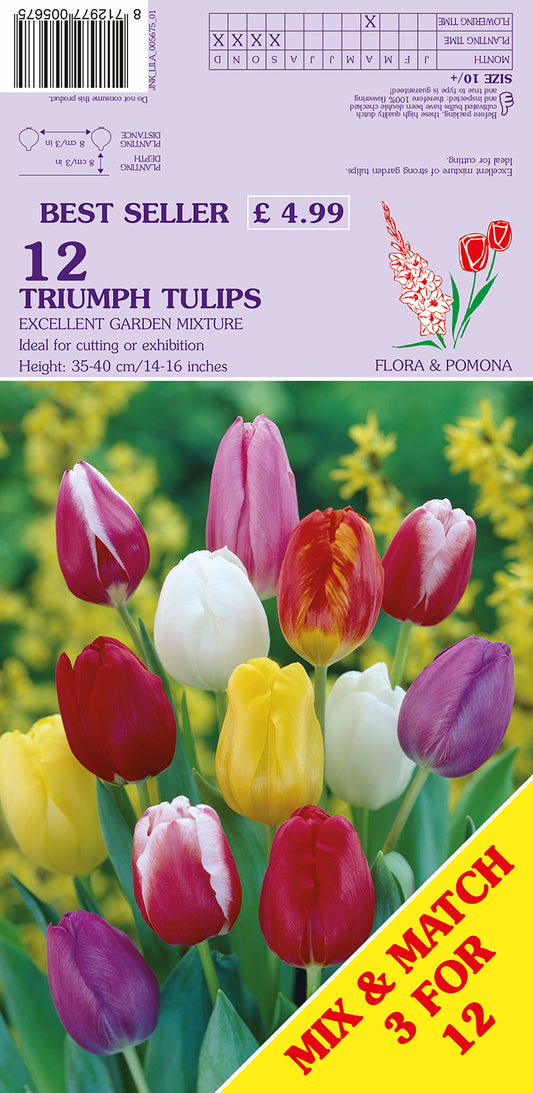 Flower seed packet with tulips and promotional text on a purple background