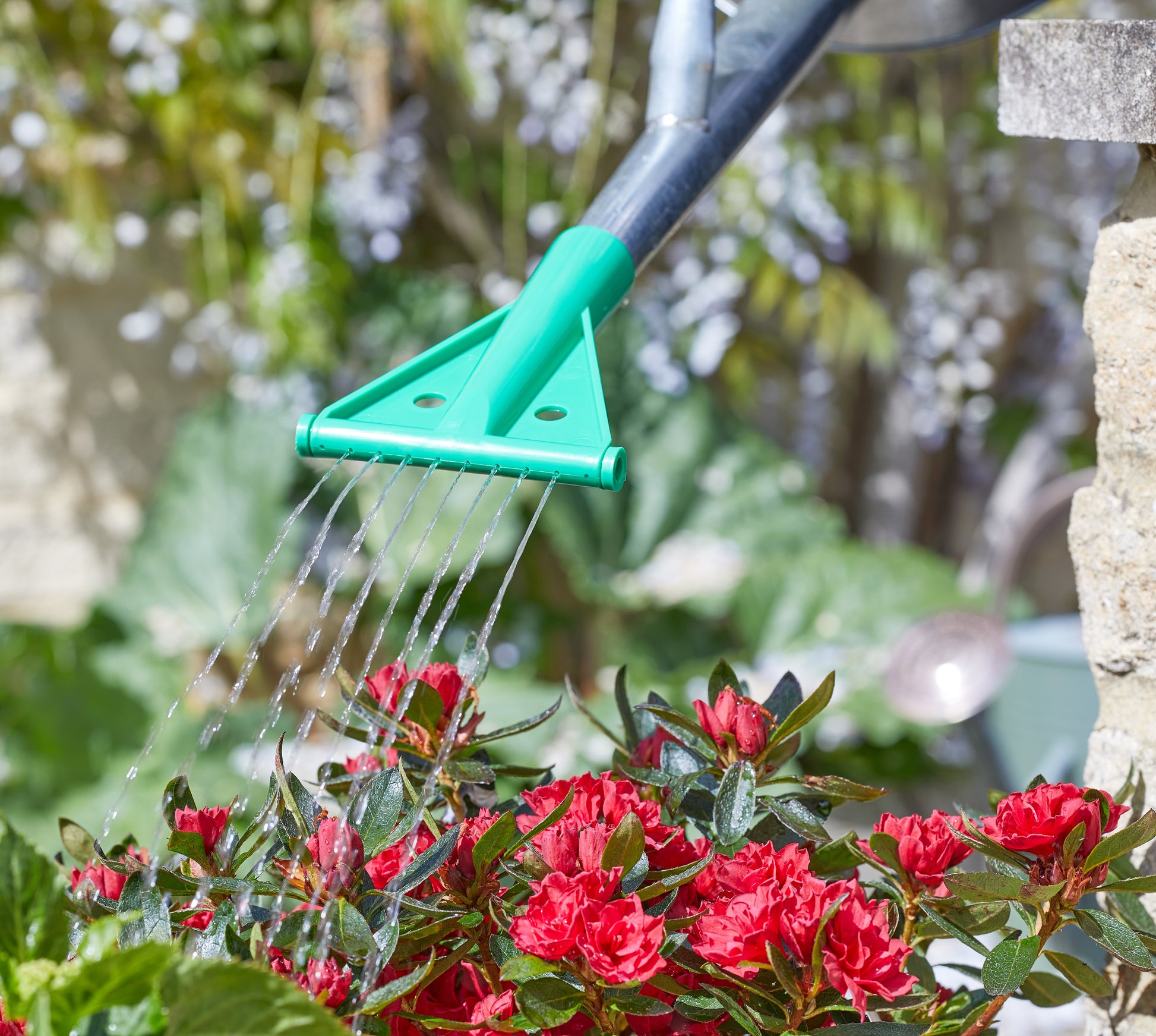 Green garden tool watering red flowers with a blurred garden background