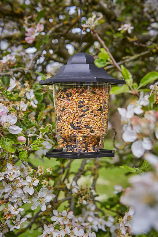 Bird feeder hanging among flowers and branches