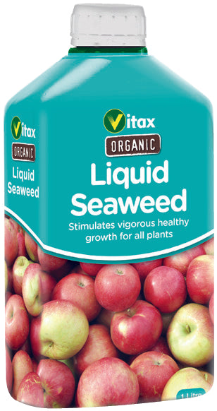 Vitax Organic Liquid Seaweed bottle with apples on a white background
