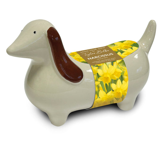 Decorative duck-shaped container with a yellow flower package on a white background