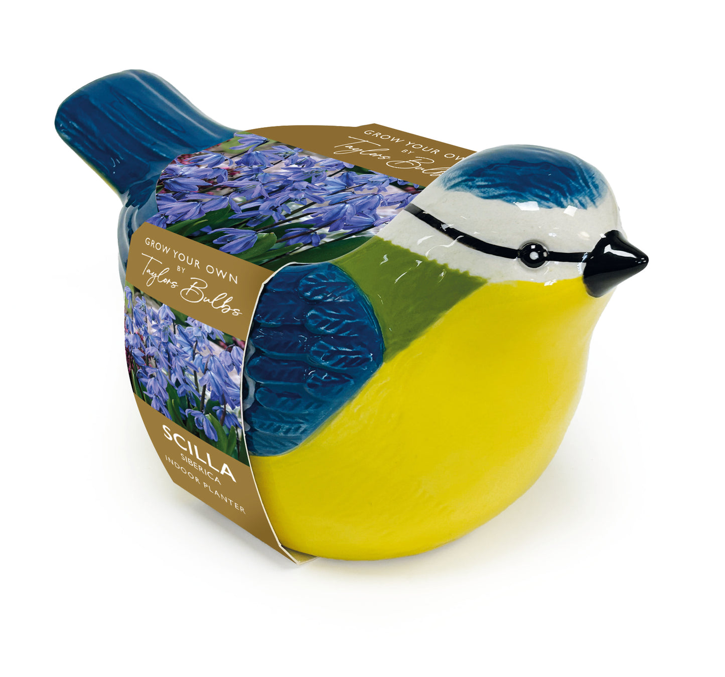 A ceramic bird-shaped planter in the shape of a bluebird, decorated with a yellow body, blue wings and head, a white eye patch, and a black beak. It is wrapped in a paper band featuring purple flowers and the text 'GROW YOUR OWN Taylor's Bellies SCILLA'.