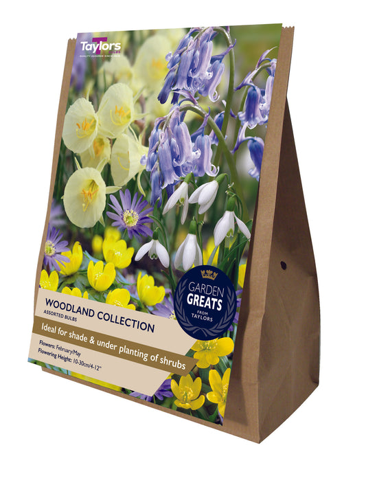Taylors Bulbs woodland collection packaging with flowers on a white background