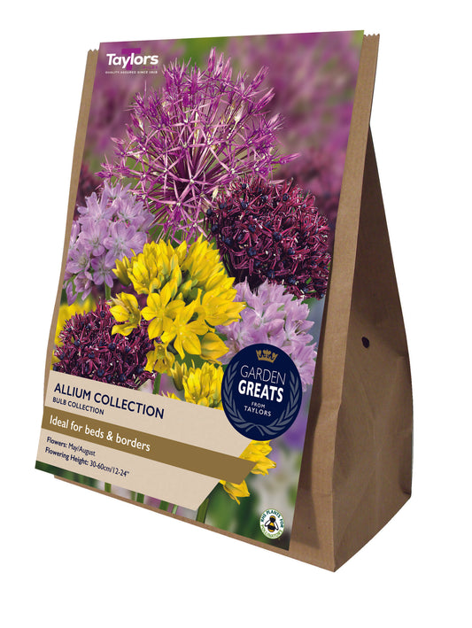 Taylors Allium Collection packaging with purple and yellow flowers on a white background