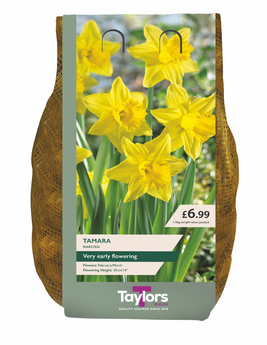 Packaging of Taylors Tamaara daffodil plants with a wooden effect