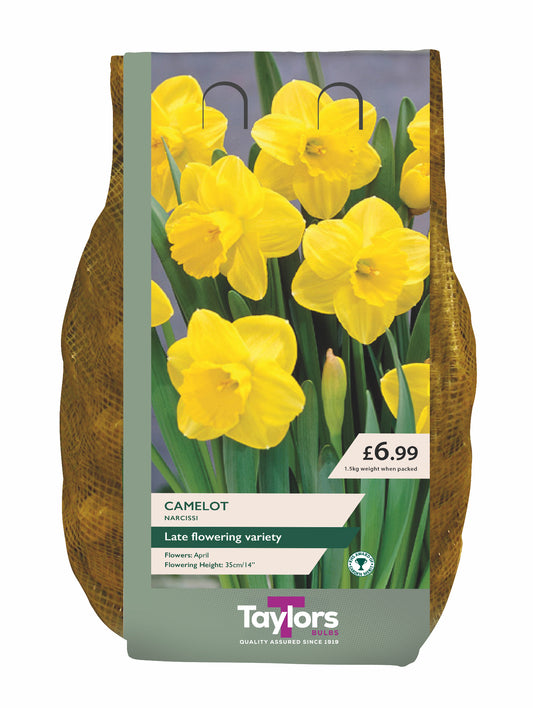 Taylors Bulbs packaging with yellow daffodils and product details.