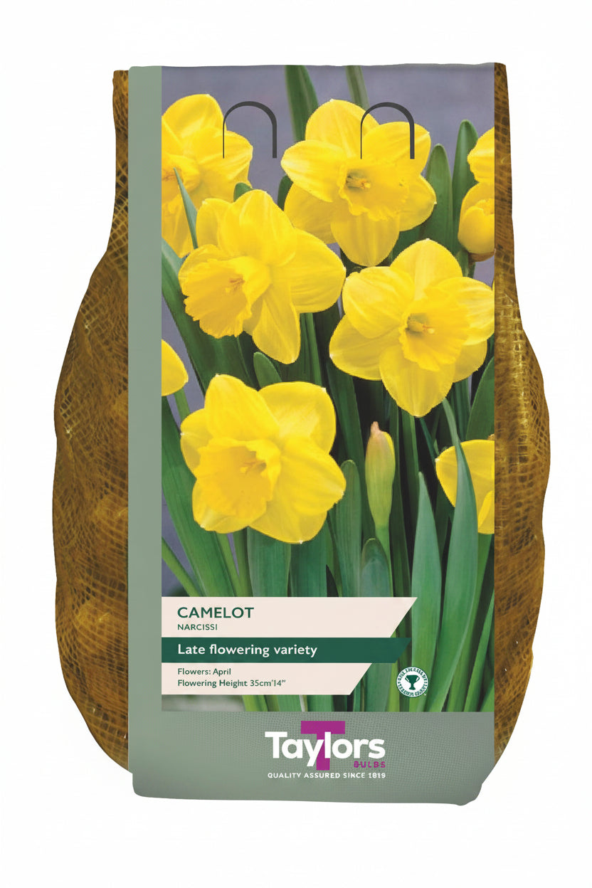 Taylors Bulbs packaging with yellow daffodils and product details.