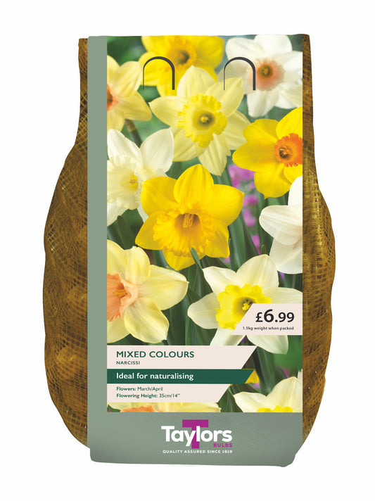 Taylors flower bag with daffodils on a white background