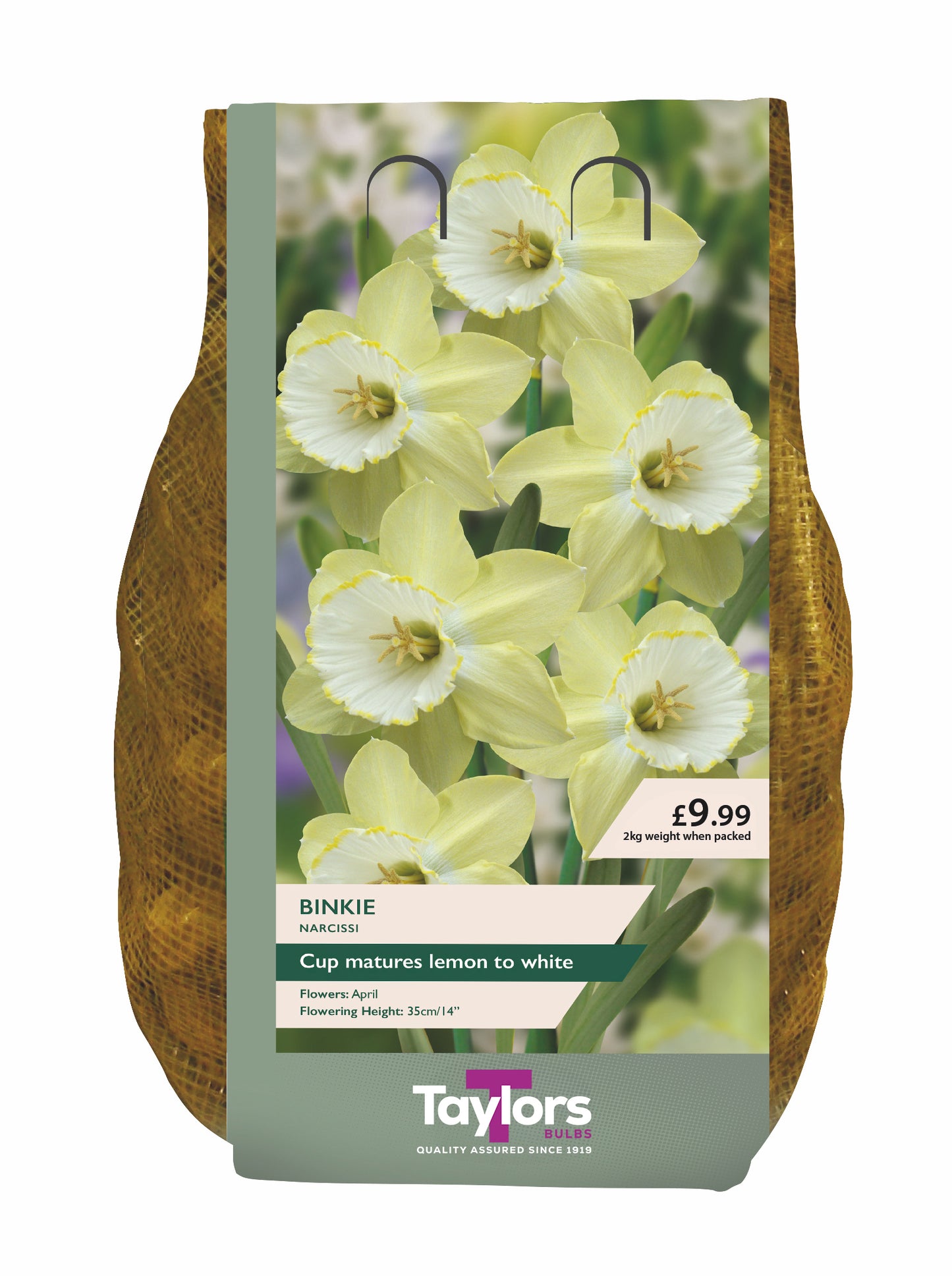 A bag of Taylors Binkie Narcissus seeds, featuring a label with yellow and white daffodils on a green background, flanked by brown textured side panels, on a white background.